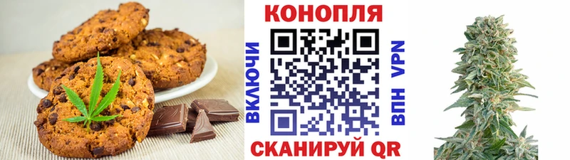 shop наркотические препараты  Димитровград  Еда ТГК марихуана  где купить наркоту 