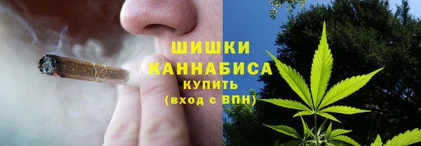 сатива Зерноград